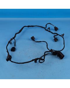 Audi A6 4F C6 Kabelbaum PDC vorne 4F1971095C Einparkhilfe Leitungssatz Orig. OT1