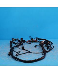 Audi A6 4F C6 Leitungssatz Beleuchtung 4F1971075GC Kabelbaum Xenon Original PO