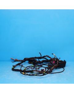 Audi A6 4F C6 Kabelbaum Verstärker 4F1970267DD Leitungssatz Navigation Orig. PF