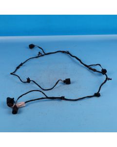Audi A6 4F C6 Kabelbaum PDC vorne 4F1971095A Einparkhilfe Leitungssatz Orig. PB