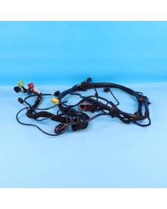 Audi A6 4F C6 Leitungssatz Beleuchtung 4F1971075CC Kabelbaum Xenon Original OP